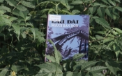 MN1CS:  Lâu đài người bán nón