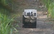 MN1CS:  Linh Sơn