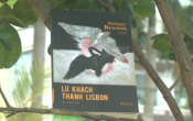 MN1CS:  Lữ khách thành Lisbon