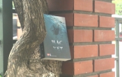 MN1CS:  Mắc kẹt