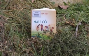 MN1CS:  Màu cỏ cháy