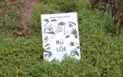 MN1CS:  Mù lòa