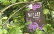 MN1CS:  Mưu sát tuổi xuân