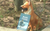 MN1CS:  Nanh trắng