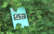 MN1CS:  Ngang qua cuộc chơi