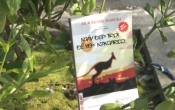 MN1CS:  Ngày đẹp trời để xem Kangaroo