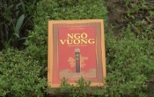 MN1CS:  Ngô vương