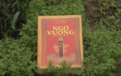 MN1CS: Ngô vương