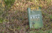 MN1CS  Ngoảnh mặt