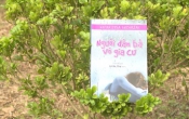 MN1CS  Người đàn bà vô gia cư