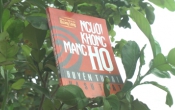 MN1CS:  Người không mang họ SỰ THẬT và HUYỀN THOẠI
