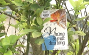 MN1CS:  Những bí mật đau lòng