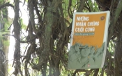 MN1CS: Những nhân chứng cuối cùng