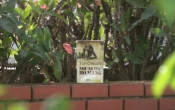 MN1CS:  Những thứ họ mang