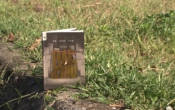 MN1CS:  Phục thù