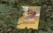 MN1CS:  Romeo & Juliet