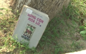 MN1CS:  Sông Côn mùa lũ