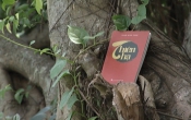 MN1CS:  Thiên hạ