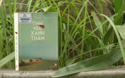 MN1CS:  Tình yêu xanh thẳm