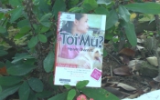 MN1CS:  Tôi mù