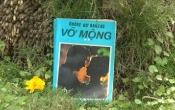 MN1CS  Vỡ mộng