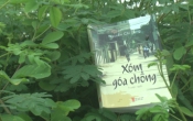 MN1CS:  Xóm góa chồng