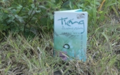 MN1CS:Tiếng dương cầm trong mưa