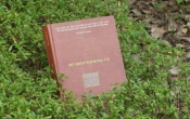 Mỹ nhân nơi đồng cỏ