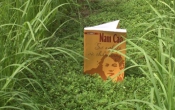 NAM CAO Sự nghiệp và Chân dung