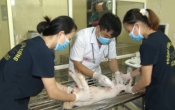 Nhà nông cần biết  11/11/2022