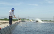 Nhà nông cần biết  22/7/2022