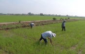 Nhịp cầu nhà nông ( 01/8/2021 )