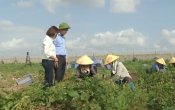 Nhịp cầu nhà nông  02/8/2024