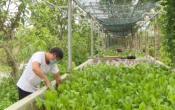 Nhịp cầu nhà nông  03/4/2022