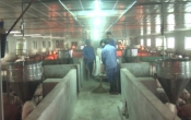 Nhịp cầu nhà nông  04/3/2022