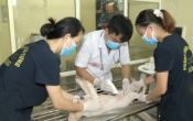 Nhịp cầu nhà nông  05/8/2022