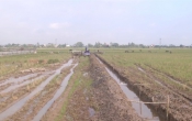 Nhịp cầu nhà nông  06/12/2024