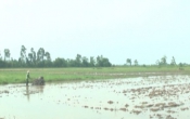 Nhịp cầu nhà nông   08/7/2022