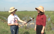 Nhịp cầu nhà nông ( 09/06/2019 )