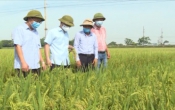 Nhịp cầu nhà nông   10/6/2022