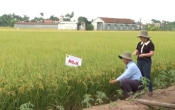 Nhịp cầu nhà nông 11/4/2025