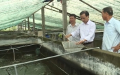Nhịp cầu nhà nông  13/10/2023