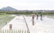 Nhịp cầu nhà nông   15/7/2022