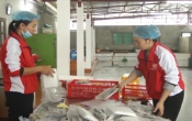 Nhịp cầu nhà nông  16/8/2024