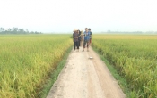 Nhịp cầu nhà nông  18/10/2024
