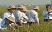 Nhịp cầu nhà nông ( 20/10/2019 )