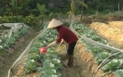 Nhịp cầu nhà nông  20/10/2023