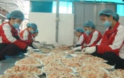 Nhịp cầu nhà nông  22/12/2023