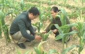 Nhịp cầu nhà nông  27/3/2022