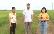 Nhịp cầu nhà nông   29/5/2022